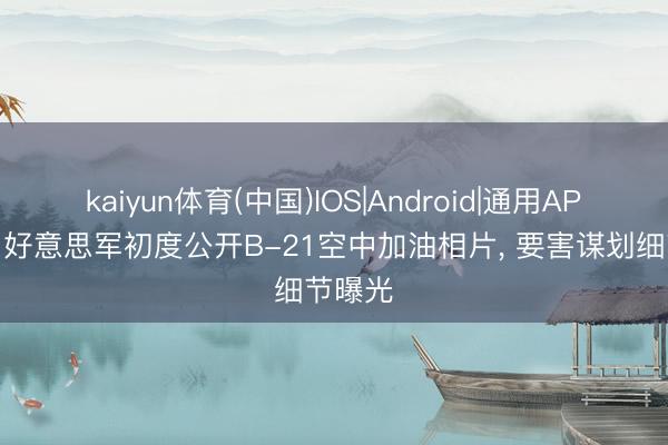 kaiyun体育(中国)IOS|Android|通用APP下载 好意思军初度公开B-21空中加油相片， 要害谋划细节曝光