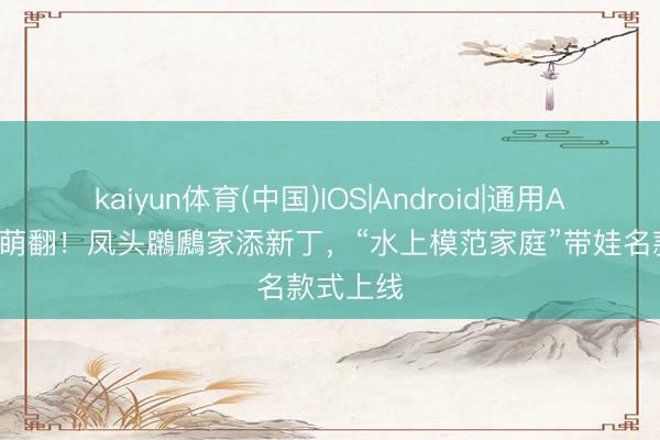 kaiyun体育(中国)IOS|Android|通用APP下载 萌翻！凤头鸊鷉家添新丁，“水上模范家庭”带娃名款式上线