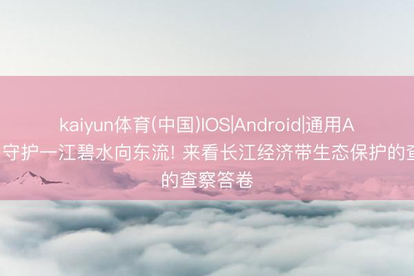 kaiyun体育(中国)IOS|Android|通用APP下载 守护一江碧水向东流! 来看长江经济带生态保护的查察答卷
