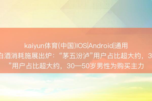kaiyun体育(中国)IOS|Android|通用APP下载 京东超市陈年白酒消耗施展出炉：“茅五汾泸”用户占比超大约，30—50岁男性为购买主力