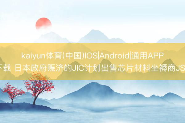 kaiyun体育(中国)IOS|Android|通用APP下载 日本政府赈济的JIC计划出售芯片材料坐褥商JSR