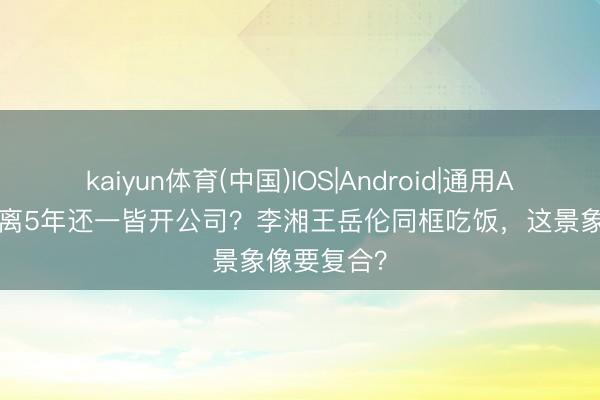 kaiyun体育(中国)IOS|Android|通用APP下载 仳离5年还一皆开公司?李湘王岳伦同框吃饭,这景象像要复合?