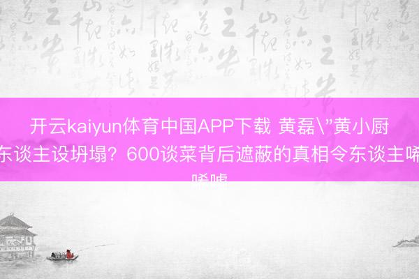 开云kaiyun体育中国APP下载 黄磊