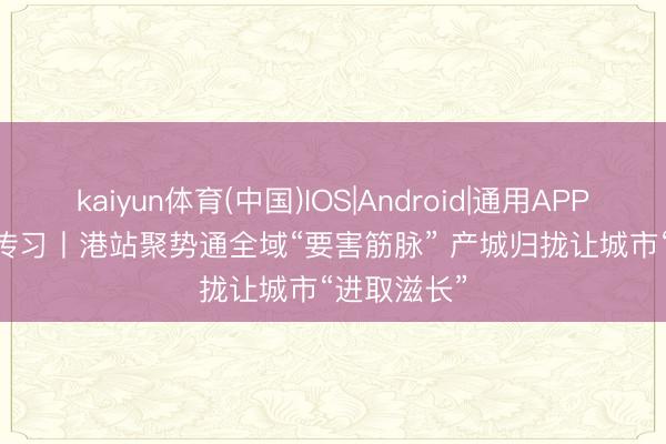 kaiyun体育(中国)IOS|Android|通用APP下载 下层传习丨港站聚势通全域“要害筋脉” 产城归拢让城市“进取滋长”