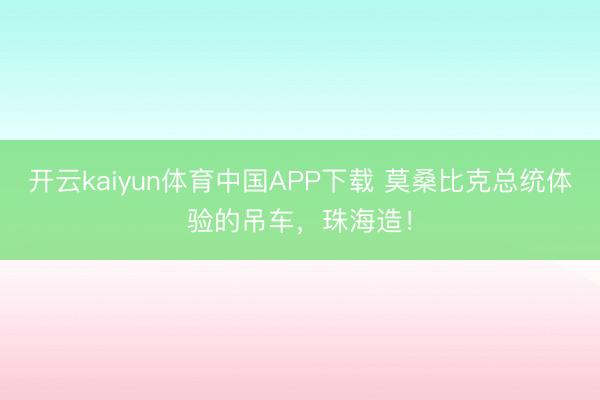 开云kaiyun体育中国APP下载 莫桑比克总统体验的吊车，珠海造！